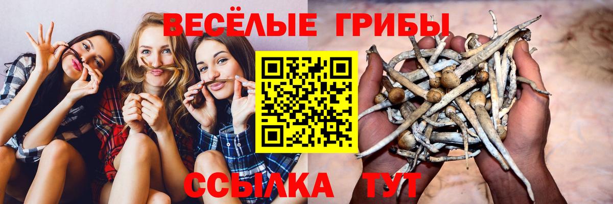 Галлюциногенные грибы ЛСД Острогожск