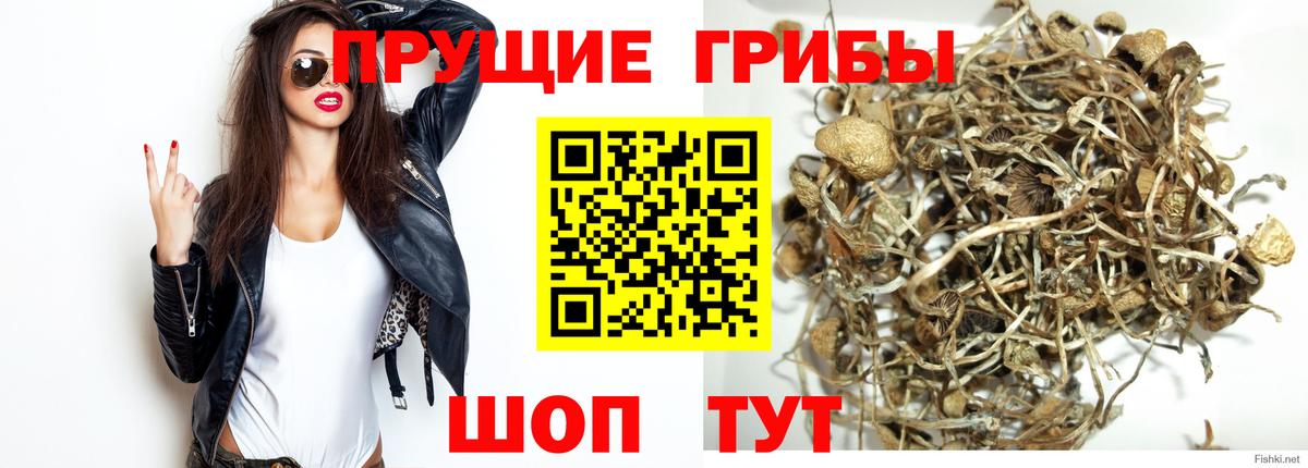Острогожск  Псилоцибиновые грибы мухоморы  Вход с VPN 